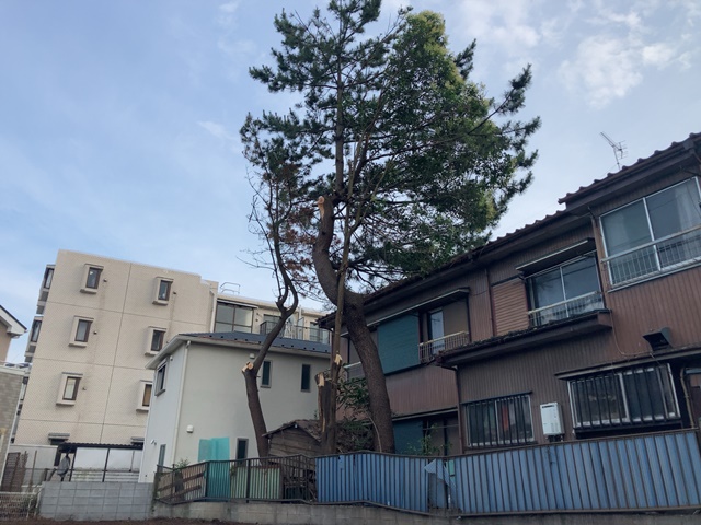 神奈川県川崎市高津区末長の樹木伐採作業後の様子です。